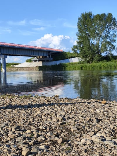 The media file captures a serene natural scene on a sunny day in Lakly, Russia. The main subjects include a modern bridge spanning across a river, a large, lush green tree, and the river itself with a rocky shoreline in the foreground. The bridge has a gray metal structure with a vibrant red railing. The tree, with its full canopy of leaves, stands tall on the right side of the frame, casting a reflection on the water. The river's surface is calm, with gentle ripples and clear reflections of the sky and surrounding greenery. The shoreline is covered in a dense layer of small, light-colored stones.
The scene depicts a peaceful, static moment, likely during the daytime given the bright sunlight and blue sky dotted with fluffy white clouds. The weather appears to be fair and pleasant, contributing to the tranquil atmosphere. The presence of the bridge suggests the area is accessible, possibly a pathway or road crossing the river. The overall impression is one of natural beauty and quietude, with hints of human infrastructure seamlessly integrated into the landscape. There is no visible text in the media file.