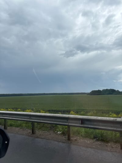The image captures a rural landscape seen from a moving vehicle, likely in Aleksandrovskoye, Russia. The scene is dominated by an expansive sky and a vast green field.
The sky, occupying the upper and left portions of the frame, is largely overcast with a mix of grey and white clouds, suggesting a cloudy or partly cloudy day. A faint, thin white contrail from an aircraft is visible against a lighter blue-grey patch in the sky.
On the right side of the image, a wide, flat green field stretches towards the horizon, bordered by a dense line of dark green trees in the far distance, likely a forest. Patches of brighter green or yellow foliage can be seen within the field, possibly indicating different crops or wildflowers.
In the immediate foreground, a metal guardrail runs horizontally across the bottom right, separating the roadway from the field. The guardrail consists of two silver, parallel beams supported by dark vertical posts. Beside the guardrail, there is green grass and some lighter, possibly yellow, vegetation. To the right of the guardrail, a dark asphalt road is visible, appearing somewhat damp, suggesting recent rainfall. A small, dark, reflective section of a vehicle, likely a side mirror, is visible in the very bottom right corner, indicating the photograph was taken from inside a car.
The time of day appears to be daytime, with diffused light due to the cloud cover, possibly late morning or afternoon. The overall mood is calm and open, typical of a journey through the countryside. There is no visible text in the image.