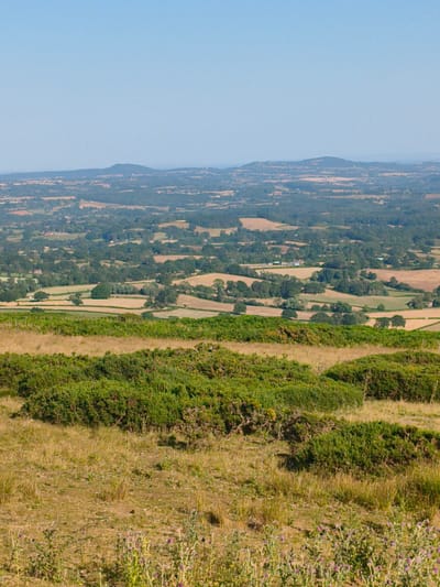 This is a wide shot of a rural landscape, taken from a high vantage point. The foreground is dominated by dry, yellow grass and green, scrubby bushes. In the middle ground, the land slopes down into a patchwork of fields, some appearing harvested and light brown, others green and covered in trees. Scattered throughout the fields are small clusters of houses and buildings, and occasional solitary trees. The background shows rolling hills and mountains stretching into the distance, under a clear, pale blue sky. The overall impression is one of a vast, cultivated countryside. The location is Cleehill, United Kingdom.