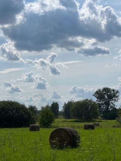 The image depicts a rural landscape, likely in Fasty, Poland, characterized by a lush green field dotted with several round hay bales. The field is densely covered with grass and some wildflowers. In the foreground, a large hay bale is prominently positioned on the right side. Further into the field, two smaller hay bales are visible, one in the middle ground and another to the right of it. The background features a line of trees, with a large, mature tree on the far right. Above the landscape, a dramatic sky is filled with a mix of dark gray storm clouds and bright white cumulus clouds, suggesting dynamic weather conditions. There are no people or animals visible in the image.