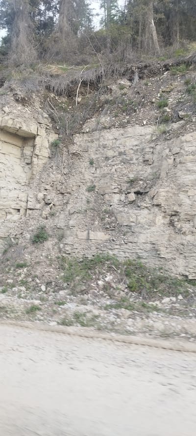 The image depicts a layered rock wall along a roadside. The top of the wall is topped with trees and scrub vegetation. Debris and more sparse vegetation are present at the base of the wall where it meets the road. The road surface is light-colored and appears to be dirt or gravel. The image's quality suggests it was taken from a moving vehicle. No people are visible. The location of Bestyakh, Russia, is provided, but no elements in the image confirm this location.