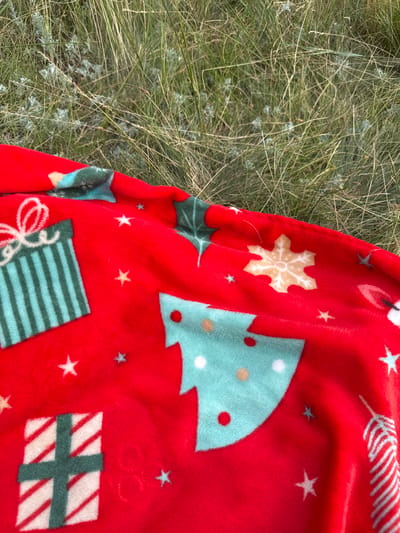The image shows a red blanket with a Christmas-themed pattern lying on dried grass. The pattern features green Christmas trees with colorful dots, snowflakes, gift boxes, and white stars scattered across the red fabric. The blanket is partially covering a patch of dry, light-green grass and some sparse, wispy vegetation. The lighting suggests it might be daytime, and the overall setting appears to be outdoors, possibly in a natural or grassy area. There is no text visible in the image.