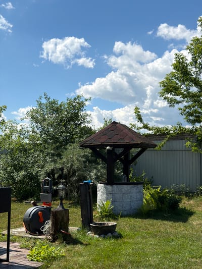 This is a vertical, eye-level medium shot of a backyard scene in Petrovskoye, Russia. The sky is a vibrant blue with scattered white cumulus clouds, suggesting a clear, sunny day, likely in the late morning or early afternoon. Lush green trees frame the top and left side of the image, their leaves catching the sunlight.

The central subject is an old-fashioned well, topped with a dark, multi-faceted roof made of shingles. The well's base is a cylindrical structure with a light-colored, textured exterior, possibly stone or concrete, resembling stacked blocks. Surrounding the well are various garden elements. To the right, a neatly mowed green lawn extends into the background, where a light-grey metal fence can be seen.

In the foreground, on the right side, a dark hose reel with orange accents is placed on a tree stump. A black hose is partially unspooled and coiled around it, with a small orange watering can beside it. A vintage-style black lantern with glass panels sits atop the stump, to the left of the hose reel. To the right of the stump, a wooden planter box is visible, containing green plants. A bit further right, a rustic wooden barrel filled with rocks is also present.

The overall impression is one of a well-maintained garden, possibly a country home or dacha, where practical gardening tools are kept alongside decorative elements. The scene evokes a sense of peace and domesticity. No people are visible in the frame. There is no visible text in the image.