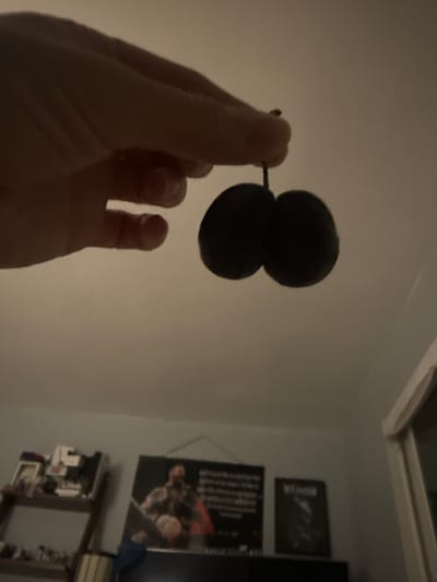 An overhead, medium-wide shot captures a hand holding two dark, spherical objects on a short stem against a neutral, lit background. The hand is positioned in the upper left quadrant of the frame, with fingers curled around the stem. The objects appear to be dark berries or small fruits. Below this, the scene transitions to an indoor setting. A shelf unit with various items, including framed pictures, is visible on the left. To the right of the shelf, two framed posters are mounted on the wall. The poster on the left features a person in the center. The poster on the right is darker and appears to depict a figure with a more abstract or stylized design. The overall lighting is dim. The location is a residence in Des Plaines, Illinois, United States.