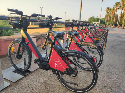 The image shows a row of red and black rental bicycles parked on a textured paved surface. The bicycles are lined up neatly, with each one docked in a charging station. The front of the bicycles features a basket, handlebars, and a front wheel with a reflector. The side of the bicycle frames displays red panels with a white "M" logo and the "BiSa" logo. The background reveals a railing, green foliage, palm trees, and streetlights, suggesting an outdoor urban environment. The sky is clear and bright, indicating daytime. Specifically, these are BiciMAD rental bikes, which operate in Badajoz, Spain.