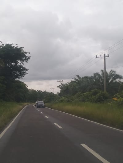 The image depicts a two-lane asphalt road with white lane markings, curving to the right, in a rural or semi-rural area. The road is bordered by a grassy shoulder on the left and dense foliage including palm trees and other vegetation on the right. Two cars are visible on the road, with a darker colored car in the foreground and a lighter colored vehicle behind it. Utility poles with power lines are present along the right side of the road. The sky is overcast and grey, suggesting cloudy weather. The scene appears to be located in or near Teupinreusep, Indonesia, given the vegetation and typical infrastructure seen in such regions.