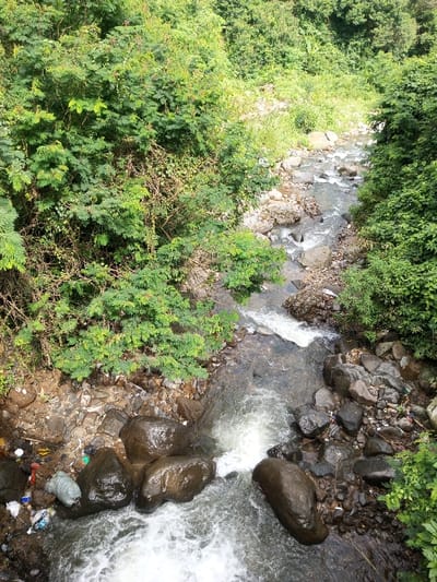 A stream flows rapidly through a rocky bed, with lush green vegetation lining its banks. The water cascades over boulders, creating white water rapids. Trash and plastic debris are visible on the left bank, contrasting with the natural setting. The scene is viewed from above, offering a full perspective of the water's path through the landscape. The environment appears overgrown and unkempt, with dense foliage dominating the view.