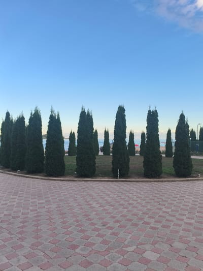 The image depicts a well-maintained park area with a paved walkway in the foreground and a line of cypress trees forming a natural barrier between the walkway and a body of water in the background. The walkway is paved with interlocking rectangular stones in a pattern of alternating red and grey. Beyond the trees, a calm blue body of water is visible, with a clear blue sky above. A few scattered clouds are present in the upper right corner of the sky. In the distance, along the shoreline, there are hints of beach umbrellas and a fence. The overall impression is one of a serene and organized public space, likely a waterfront promenade in Bayet, Kyrgyzstan. There are no people clearly visible in the foreground or mid-ground, though figures might be present in the distant background near the shoreline. The cypress trees are tall, conical, and uniformly green, arranged in a curving line that follows the edge of the paved area. The lighting suggests it is either early morning or late afternoon.