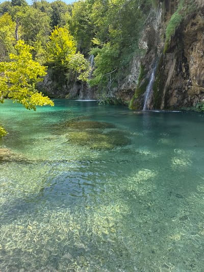 The image depicts a tranquil scene at the Plitvička Jezera National Park in Croatia. The foreground is dominated by exceptionally clear, turquoise water, revealing the rocky, pebble-strewn riverbed below. Sunlight creates shimmering patterns on the water's surface, indicating a bright, sunny day. To the left, lush green foliage, some branches with bright yellow leaves, overhangs the water, adding a touch of vibrant color. In the background, a natural cliff face rises, adorned with moss and greenery, from which several small waterfalls cascade into the pool. Dense, green trees and foliage cover the top of the cliffs and extend into the background, framing the scene. The overall impression is one of pristine natural beauty, characteristic of the park's famous lakes and waterfalls. There are no people or man-made structures visible in the image.