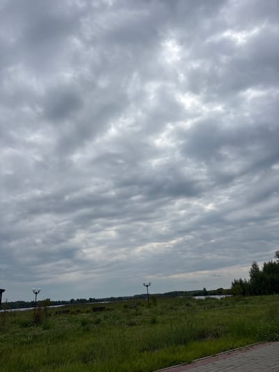 The image depicts an overcast day with a sky filled with dramatic grey clouds. In the foreground, a paved walkway made of reddish-brown and grey bricks is visible on the right side. Beyond the walkway, a lush green grassy field with scattered white wildflowers stretches out. Several wooden benches are placed within the field, some appearing weathered. A lamppost with two spherical lights stands in the middle ground. In the distance, a body of water, likely a lake or river, is visible, bordered by a line of trees and vegetation. The scene suggests a park or a recreational area near a waterfront. The location is identified as Breytovo, Russia. There are no people or animals present in the image.
