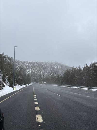 The image displays a two-lane asphalt road extending into the distance through a snow-covered mountainous area in Real Sitio de San Ildefonso, Spain. The road surface, which appears dark grey and wet in sections, is delineated by a prominent dashed white line in the center and a solid yellow line on the left shoulder. Along the left side of the road, snow covers rocky terrain and the base of coniferous trees, with a yellow-and-red striped marker pole and several grey streetlights visible. A dark-colored vehicle's exterior is partially discernible in the bottom-left corner, indicating the perspective of the shot. To the right, a metal guardrail, partially covered in snow, runs parallel to the road, beyond which a dense forest of snow-laden pine trees ascends a gentle slope. Multiple road signs are visible on the right side of the road in the middle distance. The background consists of hazy, snow-dusted forested hills that merge with a uniformly overcast, light grey sky. The scene is devoid of human figures or other active vehicles.