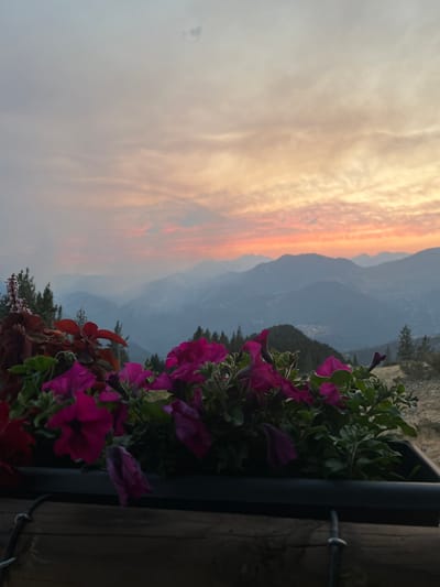 The image depicts a mountainous landscape at sunset, with a foreground filled with blooming pink and red flowers in a planter box. The sky is painted with hues of orange, pink, and yellow, transitioning to a hazy blue as it meets the layers of distant mountains. Smoke or haze is visible in the valleys, obscuring the details of the terrain. The trees in the middle ground are dark silhouettes against the sky and mountains. The planter box appears to be made of dark material and is resting on a wooden railing. The overall scene suggests a high vantage point, likely a balcony or terrace, overlooking the valley and mountains. This view is consistent with the location of San Juan de Plan, Spain, which is nestled within the Pyrenees mountains and experiences similar sunsets and atmospheric conditions. There are no people or animals visible in the image.