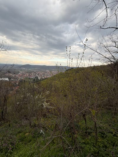The image shows a view of Bratsigovo, Bulgaria, from an elevated position. The town is nestled in a valley surrounded by hills. The sky is overcast with grey clouds. In the foreground, there are tree branches with sparse foliage. The town below consists of buildings with orange tile roofs. There is a river or body of water visible in the distance. The hillside is covered in green vegetation, including trees and bushes.