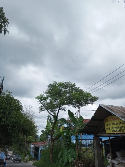 The scene depicts an outdoor environment along a road in Cibadak, Indonesia, under a heavily overcast, grey sky. An asphalt road curves slightly to the left, with visible vehicles including a dark-colored car and a motorcycle with a rider in a light head covering, both traveling away from the viewer. Lush green trees and vegetation line the left side of the road and populate the mid-ground. A prominent tree with a full canopy stands in the center-right, accompanied by several banana plants. On the far right, a rustic structure with a rusted corrugated metal roof features a yellow sign displaying "DIJUAL / DISEWAKAN" (FOR SALE / FOR RENT), "LUAS: 1532M," and contact phone numbers. Behind the central tree, a light blue building with a fence is partially visible. Multiple black utility lines traverse the upper right portion of the frame.