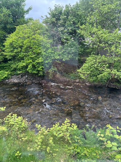 An aerial view of a rocky stream running through lush greenery in Llanberis, United Kingdom. The water flows over dark rocks and pebbles. Green trees and vegetation line the banks of the stream. Some trees have white flowers. The sky is overcast.