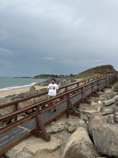 A man stands on a wooden walkway that curves upwards towards a grassy hill overlooking a beach and the sea under a cloudy sky. The man is wearing a white t-shirt with a graphic print, khaki shorts, and dark sneakers. He is facing slightly to his left, with his hands behind his back. The walkway is made of dark wood with wooden railings, and the surface appears to be a textured, dark material. The beach is sandy, with a line of rocks bordering it and extending around the walkway. In the distance, there are buildings on a hill, a pier, and the sea. The sky is overcast with dark clouds, and there are a couple of birds flying in the distance. The scene appears to be the Courtown Coastal Walk in Courtown, Ireland, a scenic area known for its beaches and walking trails.