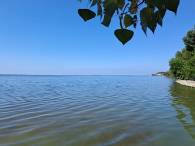 The image depicts a serene waterscape under a clear blue sky, with foliage from a tree hanging into the frame from the top left. The body of water, likely a lake or a wide river, stretches towards the horizon, its surface rippled by a gentle breeze. The water near the foreground is a murky green, transitioning to a clear blue as it extends further out. Along the right bank, a rocky shore meets a dense line of lush green trees. In the far distance, a faint, low-lying landmass is visible on the horizon. The overall impression is one of natural tranquility, with no people or man-made structures prominently featured. The location is identified as being in the city of Maksymivka, Ukraine.