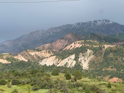 The image shows a mountainous landscape with a wire running across the top. The mountains are layered, with the furthest peaks appearing dusty and snow-capped. Closer mountains exhibit rocky, eroded slopes with patches of green vegetation. The foreground is covered in dense green foliage, including trees and grass. There are no people or animals visible in the image. The scene appears to be a natural, rugged environment, potentially a remote area of Uchterek, Uzbekistan.