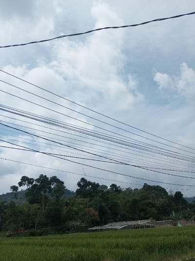 The image depicts an outdoor scene in Namthoung, Laos, under a partially cloudy sky. Numerous black power and communication lines traverse the upper and middle sections of the frame, arranged horizontally and diagonally. Below these lines, a dense line of green trees and foliage covers a hillside or elevated terrain. In the mid-ground, at the base of the tree line and bordering a wide expanse of green agricultural field, a structure with a corrugated metal roof is visible, along with sections of a brick or concrete wall. No individuals, discernible actions, or interactions are present.