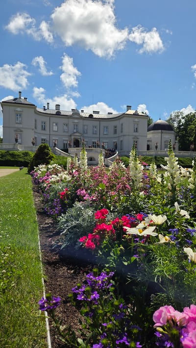 The image depicts a grand, pale grey manor house with a curved facade, multiple chimneys, and a dark domed structure to the right, set against a bright blue sky with fluffy white clouds. In the foreground, a vibrant flower bed bursts with a variety of colorful blooms, including tall white snapdragons, pink and magenta flowers, white daisies, and purple flowers. A neatly manicured green lawn borders the flower bed on the left, with a metal edge separating it from the garden path. The manor house appears to be the Tiškevičiai Palace in Palanga, Lithuania, given the architectural style and the presence of extensive gardens often associated with the palace.