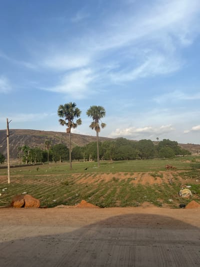 The image shows a landscape with two palm trees in the foreground against a blue sky with scattered clouds. Behind the trees is a rocky hill or outcrop covered with some greenery. The right side of the image shows a dirt and paved road with some vegetation. The location is specified as Jere North, Nigeria, but there are no elements in the image that definitively confirm or refute this location. There are no visible people, specific subjects, actions, or interactions in the image. The main objects are the palm trees, the rocky hill, the sky, and the road.