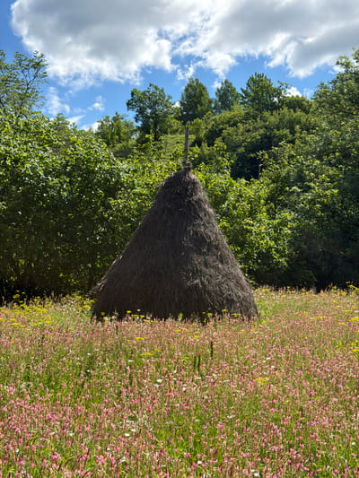This image depicts a conical haystack situated in a meadow brimming with pink and yellow wildflowers. The haystack is dark brown and appears to be constructed from dried grass or hay. Behind the haystack, a dense wall of lush green trees forms the backdrop. Above the trees, a bright blue sky is dotted with fluffy white clouds. The scene suggests a rural, natural setting, likely in a meadow or field. There are no people or animals visible in the image. The overall impression is one of tranquility and natural beauty.