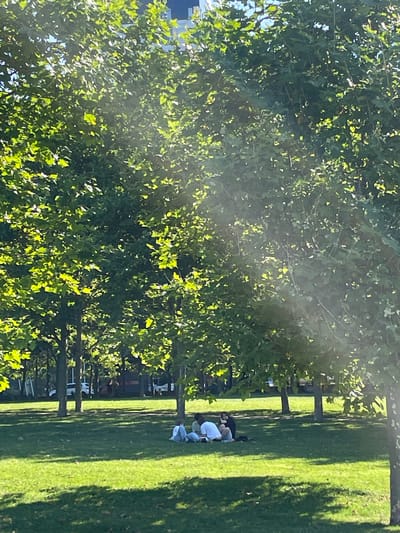 The image depicts a park scene with lush green trees and a well-maintained lawn. The sun is shining, casting dappled shadows across the grass, suggesting it is daytime. The weather appears to be pleasant and warm, ideal for outdoor activities. A few people are visible in the background, seated or lying on the grass, engaged in casual leisure. One person is wearing a white shirt, another a black top, and there are two more figures in light-colored clothing. The presence of trees and open green space indicates a natural or recreational setting, possibly a city park. The overall mood of the image is serene and relaxed, capturing a moment of quiet enjoyment outdoors. The foliage is dense and vibrant, indicating the season is likely summer or late spring. The background is slightly blurred, focusing attention on the immediate foreground and the people enjoying the park. There is no visible text in the image.