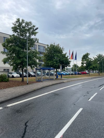 The image depicts a street scene in Lauterbach, Germany, likely in an industrial or commercial area. The foreground shows a wet asphalt road with white lane markings, indicating recent rain. The roadside features a gray paved sidewalk with a curb. Beyond the sidewalk, there is a patch of dry mulch and then a grassy area where several cars are parked.

To the left of the parked cars is a modern, multi-story building with a light-colored facade and dark-framed windows. Adjacent to the building, a tall street lamp stands on the sidewalk. In the middle ground, a glass-enclosed bus stop shelter is visible. Several trees with green foliage are scattered throughout the scene, adding to the urban park-like setting.

Behind the parking area, a line of flags is planted, including the German flag, another national flag (possibly the United Kingdom's), and the European Union flag. More cars are parked in the background, and the sky is overcast with clouds. The overall impression is a functional urban environment, possibly near a business park or public transportation hub.