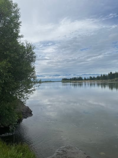 A tranquil river scene unfolds under a cloudy sky, with the foreground dominated by the lush green foliage of a tree on the left bank. The river itself is wide and calm, its surface reflecting the sky and the distant treeline with remarkable clarity. Across the river, a dense forest of evergreen trees stretches along the horizon, punctuated by a range of mountains in the far distance, their peaks softened by the hazy atmosphere. The location is identified as the city of Zhemchug, Russia. The overall impression is one of natural serenity and vastness.