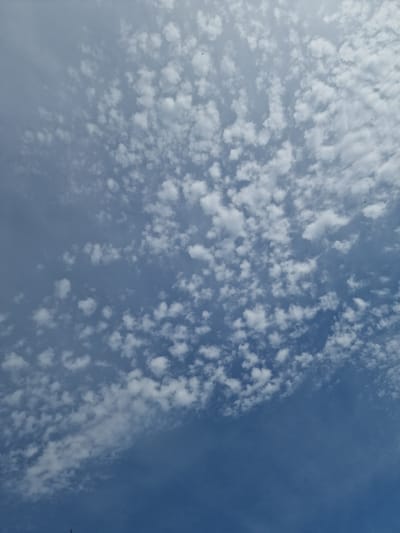 The image depicts a sky with scattered white, puffy clouds. The clouds are small and dispersed across a blue sky, creating a textured pattern. Some areas of the sky are clearer, showing a deeper blue, while others are filled with a higher concentration of clouds. A few tiny black specks, possibly birds, are visible against the sky. The scene is likely captured from ground level, looking upwards. There are no identifiable structures, people, or objects from the city of Alimos, Greece visible in this sky-centric image. The overall impression is a bright, partly cloudy day.