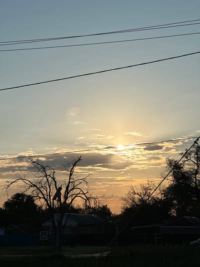 An outdoor scene captured at sunrise or sunset in Zimovniki, Russia, displays a sky dominated by a radiant sun on the right. The sun, partially obscured by streaky clouds, casts a golden-orange glow across the horizon, transitioning to a softer blue-grey further to the left. Several dark power or utility lines traverse the upper portion of the frame, silhouetted against the bright sky.
In the midground, a prominent, gnarled deciduous tree, mostly bare of leaves, stands dramatically silhouetted on the right side, its intricate branches reaching across the frame. Further right and below, dark silhouettes of other trees with foliage and houses or buildings are visible. A yellow triangular road sign, featuring a black pedestrian crossing symbol, is discernible near the base of the gnarled tree. Dark patches of grass or ground cover the bottom edge of the image. The strong backlighting creates a stark contrast between the luminous sky and the foreground elements, with a subtle lens flare visible near the sun, enhancing the atmospheric quality of this serene, golden hour landscape.