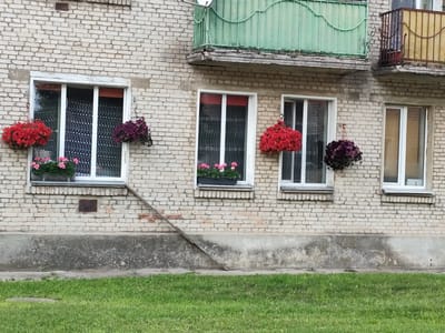 The image depicts a section of a light-colored brick apartment building in Gardene, Latvia, with a focus on several windows adorned with hanging flower baskets. On the left, a window is surrounded by red and purple flower baskets, with a planter box of pink flowers visible on the windowsill. The next window to the right also features a vibrant red hanging flower basket and a planter box with pink flowers. Further to the right, another window displays a dark purple hanging flower basket. A third window on the far right shows no decorations. Above the windows, there are balconies, one with a green metal railing and another with a rusty yellow railing. The building's base is a rough, textured concrete foundation, and the foreground consists of a neatly mowed green lawn. The overall scene suggests a residential setting in a Latvian city, emphasizing the building's facade and its floral decorations.