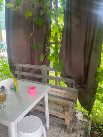 The image depicts an outdoor seating area, possibly a patio or garden space, in a rustic setting. A white plastic table is positioned on the left, with a glass of amber liquid, a small jar, a spray can, and a pink cup on its surface. Beneath the table, a white plastic stool with a textured seat is visible. In the background, a bench constructed from wooden pallets is situated. The entire scene is partially covered by dark brown fabric curtains, with lush green grapevines with large leaves and small clusters of green grapes hanging overhead and to the sides, suggesting a warm, possibly summer, environment. The ground appears to be paved with circular tiles. The overall impression is of an informal, DIY outdoor relaxation spot.