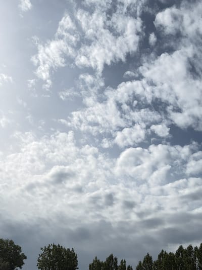 The image depicts a cloudy sky above a line of trees. The sky is filled with various types of clouds, ranging from fluffy white cumulus clouds in the upper portion to darker, more diffused stratiform clouds towards the horizon. The light suggests it is daytime, with the sun partially obscured by the clouds, creating a diffused brightness. Below the sky, a dense line of green trees stretches horizontally across the bottom of the frame, their tops forming an uneven silhouette against the sky. The trees appear to be deciduous and in full foliage. The overall impression is of an overcast or partly cloudy day. The location is stated to be Druten, Netherlands.