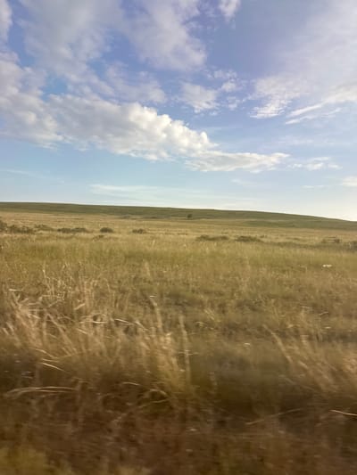 The image depicts a vast, open grassland under a bright, partially cloudy sky. The landscape is dominated by dry, golden-brown grasses that sway in the wind, creating a sense of movement and texture. A gentle slope rises in the distance, forming the horizon. The sky is a mix of soft blue and white clouds, suggesting a clear, perhaps warm day. The scene conveys a feeling of natural beauty and tranquility. The image is oriented vertically, with the sky on the left and the grassland on the right. There are no people or man-made objects visible, emphasizing the raw, undeveloped nature of the environment. The time of day appears to be daytime, likely late morning or early afternoon, given the brightness of the light and the clear sky. The location is suggested to be Novonikolaevka, Russia.