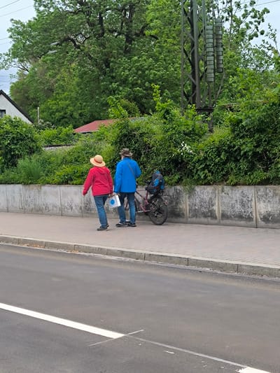 Two pedestrians, a woman and a man, walk along a sidewalk beside a road in Freising, Germany. The woman, wearing a red hooded jacket, jeans, and a straw hat, carries a white shopping bag. The man, in a blue jacket, jeans, and a hat, stands next to a purple bicycle with a backpack attached. They are adjacent to a low concrete wall with dense green foliage above. A black and silver powerline tower is visible amidst the greenery to the right. Behind the greenery, a glimpse of a white building with a grey roof is seen on the left, along with another building with a red roof. The road is asphalt with a solid white line marking the edge. The scene appears to be outdoors in daylight.