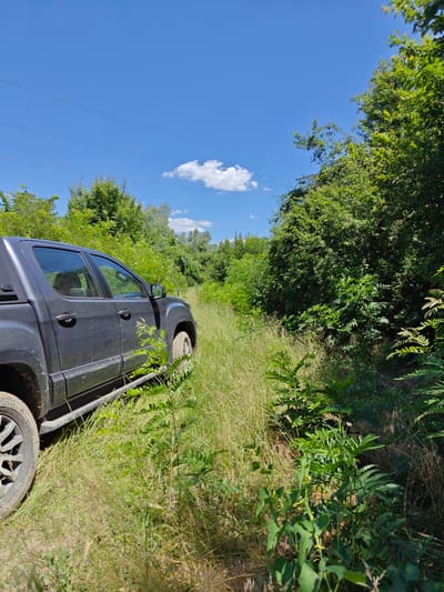 A dark-colored pickup truck is parked on a dirt path that winds through a densely vegetated area, likely a field or forest edge. The truck is positioned at an angle, with its rear half and the side facing the viewer. The vehicle appears to be dusty, suggesting it has been driven off-road. The surrounding environment is filled with tall green grass and lush trees, with some branches reaching into the path.
The sky above is a clear, bright blue with a few fluffy white clouds. The sunlight suggests it is daytime, likely midday or early afternoon. There are power lines visible in the upper portion of the image, stretching horizontally across the frame.
The scene depicts a moment of stillness, with the truck stationary amidst the natural landscape. The overall impression is one of an outdoor excursion, perhaps a pause during a drive through the countryside. The location is identified as Staro Selo, Bulgaria. No people are visible in the image. No text is present in the image.