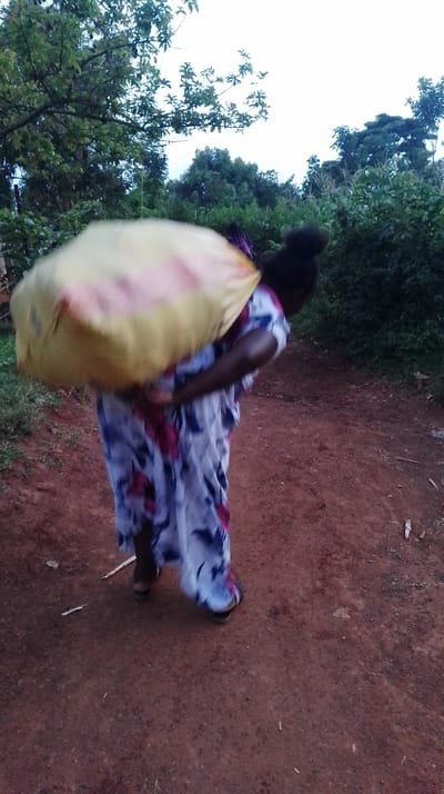 A single individual is depicted outdoors in Siaya Township ward, Kenya. The individual, identified as an adult female with dark hair, is shown in motion, walking on a reddish-brown dirt path. She wears a long, loose-fitting dress with a white base and blue/purple and pink floral patterns, and dark sandals. A large, bulging, light yellow sack, appearing to contain various items including some with pink/red coloration, is carried on her back, secured over her shoulders. The individual is leaning forward, indicating the weight or bulk of the load. The environment features dense green foliage, including trees and bushes, lining the path and extending into the background. The sky is light grey. No other individuals or man-made structures are discernible within the frame.