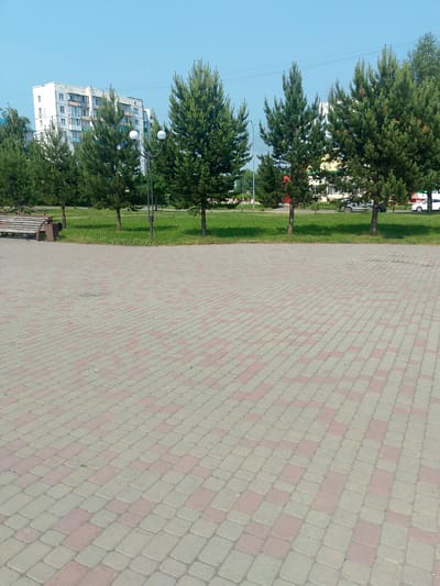 A wide shot shows a paved plaza with a pattern of alternating gray and pink rectangular pavers. The plaza occupies the foreground and extends into the middle ground, where it meets a strip of green grass. Beyond the grass, a row of young coniferous trees stands, with taller trees in the background. In the background, a multi-story apartment building with a white facade and balconies is visible. A street with cars and a streetlight are also present in the background. The sky is clear and blue. The scene is likely located in Polysayevo, Russia, given the architectural style of the apartment building and the general appearance of the urban park.
