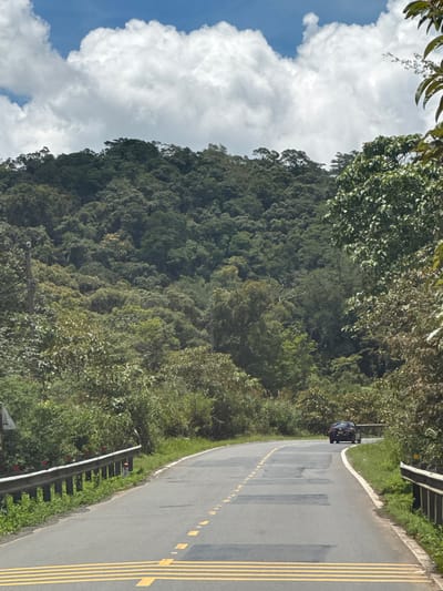 The image depicts a winding asphalt road in a mountainous, forested area, likely in the city of Lac Duong, Vietnam. The road is marked with yellow and white lines, and in the distance, a dark-colored sedan is driving away from the camera. Guardrails line both sides of the road, and dense green vegetation and trees cover the surrounding hills. The sky above is a mix of blue and white clouds. The scene appears to be captured from a moving vehicle.