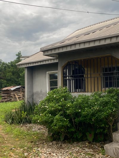 The scene depicts a residential building in Iyare, Nigeria, under an overcast sky. An overhead wire traverses the upper portion of the frame, with a small, dark object attached to it. The building features a multi-angled, light grey corrugated metal roof with visible eaves and gutters. Its exterior walls are a uniform grey. A section of the building contains a yellow-painted wall enclosed by a black metal security grill, behind which a dark, long piece of fabric or clothing is hanging. A white-framed window is visible on an adjacent grey wall. Partially visible concrete steps ascend on the right side of the frame. The immediate ground consists of a dirt path leading to sparse grass, transitioning to a bed of light-colored, angular gravel directly at the base of the building. Various plant life is present: a dense green shrub with small white flowers in the foreground, larger dark green leaves with reddish centers beneath it, and a cluster of tall, sword-shaped plants (Sansevieria) to the left. In the left background, a substantial stack of cut logs or firewood is visible, partially sheltered by a piece of rusty corrugated metal. Dense green foliage and trees form the distant background. No human subjects are present in the image.