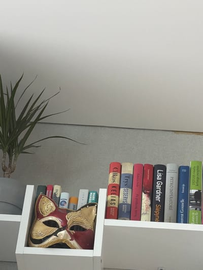 The image shows a close-up of a white shelf containing books and a decorative mask. The shelf is positioned against a light grey wall. To the left of the shelf, a potted plant with long, green, blade-like leaves is visible. The plant is in a grey pot.
The shelf itself is divided into two sections. The lower section holds a decorative mask that resembles an animal's face, with red and gold coloring and intricate designs. The upper section of the shelf displays a row of books with colorful spines. The book titles are in various languages, including what appears to be Lithuanian, and some are in English. From left to right, the visible book spines include: "Cilkos kelias", "Tyrs seserys", "Po penkerių metų", a red book with faded text, "Lisa Gardner Slepyne", "PETRO IMPERATORE", "Intuiticija", "laurent Gounelle", and "DIEVAS visada". The plant and the shelf are positioned on the ground or a lower surface.
The lighting is soft, suggesting an indoor setting. The background is a plain, light grey wall, with a subtle gradient suggesting either a slight curve or a change in texture. The overall scene is static and appears to be a still life composition within a domestic or office environment. There are no people or animals visible in the image. The image is cropped at the top, showing only the upper part of the wall and the plant. The bottom of the shelf and the floor are also not fully visible. The detail and clarity suggest the image was taken with a relatively high-resolution camera.