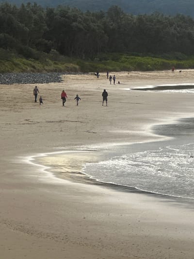 The image depicts a wide, sandy beach with gentle waves rolling in. In the background, a dense line of trees forms a natural border along the coastline. Several individuals and a dog are scattered across the sand, engaged in various activities. Some are walking, while others appear to be strolling with their pets. The lighting suggests it is either early morning or late afternoon, casting soft shadows on the sand. The scene is likely located on one of Coffs Harbour's many public beaches, which are known for their natural beauty and recreational opportunities.