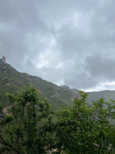 An overcast sky looms over a lush green mountain landscape. The mountain range is characterized by rugged, layered rock formations partially covered in vegetation. In the foreground, dense green trees obscure the lower portion of the image, with some appearing to be laden with fruit. The overall impression is one of a wild, natural environment under a moody, cloudy sky. The scene is located in Assab, Russia.