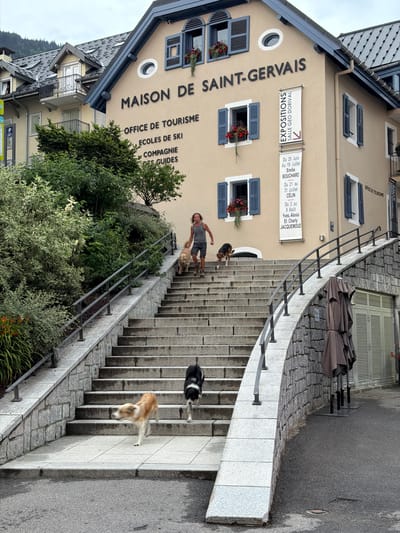 In Saint-Gervais-les-Bains, France, a man walks down a wide, outdoor stone staircase with three dogs. The building behind him is painted a light tan and has dark blue shutters on its windows. The signage on the building reads "MAISON DE SAINT-GERVAIS OFFICE DE TOURISME ECOLES DE SKI COMPAGNIE DES GUIDES." Another sign to the right states "EXPOSITIONS SALLE GEO DORIVAL." Two of the dogs are walking behind the man, and one is further down the stairs, appearing to be moving quickly. The staircase has black metal railings on both sides, and is flanked by lush green foliage and trees. The sky is overcast.