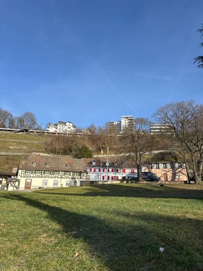 The image displays a daytime, panoramic view in Neuhausen am Rheinfall, Switzerland, under a clear blue sky featuring faint contrails. The foreground consists of a sunlit green grassy field with long, distinct shadows extending diagonally from left to right. A small piece of white refuse is visible on the grass in the lower right.
In the midground, several buildings are arranged on ascending terrain. To the left, a traditional two-story building with a light cream facade, brown timber framing, and green shutters features a brown tiled roof with three dormer windows. To its right and slightly elevated, another multi-story building presents a white facade with numerous red shutters and red window frames, topped with a brown tiled roof and multiple dormers. Two flagpoles displaying yellow flags are positioned in front of this white building. Further to the right, partially obscured by bare deciduous trees, a light peach-colored two-story building with dark shutters is visible, in front of which a dark SUV is parked on a paved area.
The background comprises a steep, treed hillside covered in green and brown vegetation, largely bare of leaves, suggesting winter or early spring. An elevated structure, consistent with a railway line or raised pathway, traverses the lower section of the hillside. On the crest of the hill, several modern, multi-story buildings with light-colored facades are discernible against the horizon. No individuals are present within the scene.