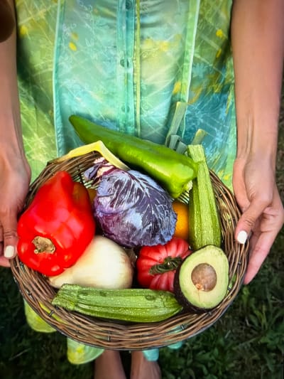 A person is depicted holding a woven wicker basket filled with a vibrant assortment of fresh vegetables. The hands holding the basket have white-painted fingernails and are positioned on either side of the basket. The person is wearing a light green garment, possibly a dress or skirt, with a subtle patterned design.

The basket overflows with produce, including a bright red bell pepper, a long green pepper, a small head of red cabbage, a white onion, a halved avocado with its pit visible, two green zucchinis of varying lengths, and a distinctive ribbed red tomato. A small yellow citrus fruit is also partially visible amongst the vegetables.

The setting appears to be outdoors, with a blurred green background resembling grass or moss, suggesting a natural environment. The lighting is bright and natural, indicating a daytime scene. The arrangement of the vegetables suggests a fresh harvest or a display of garden-grown produce. The overall atmosphere conveys abundance and natural health. No visible text is present in the image. The scene is set in Ros Na Rí, Ireland.