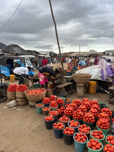 This is a photograph of an outdoor market in Oko Amakom, Nigeria, on a cloudy day. The foreground is filled with numerous buckets and baskets overflowing with ripe red tomatoes. Several people are visible in the background, engaged in activities related to the market. To the left, two men in casual attire are attending to the tomatoes. One man in a white shirt is leaning over, while another man in a black and yellow shirt with pink shorts is also working near the produce. In the middle ground, a blue and white motorized tricycle, commonly known as an "okada" or "keke napep" in Nigeria, is parked. The background reveals more market stalls, awnings, and a crowd of people. The ground is dusty earth, typical of an outdoor market. The overall scene depicts a vibrant, bustling agricultural market.