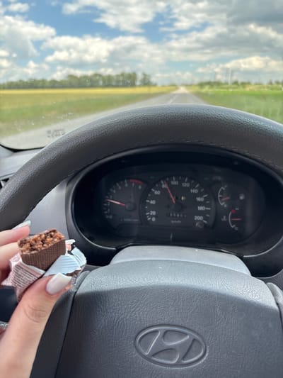 The image shows a first-person perspective from inside a car, with the driver's hand holding a partially unwrapped chocolate bar. The steering wheel, dashboard with a speedometer and fuel gauge, and the road ahead are visible. The car is on a paved road that runs through a rural landscape with fields and trees on either side. The sky is cloudy. The speedometer indicates a speed of approximately 90 km/h. The location is identified as Aleksandrovskiy, Russia.