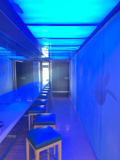 This image depicts a bright, modern interior space bathed in vibrant blue light. The primary subjects are the architectural elements and decorative features of the room. A prominent feature is a long, illuminated wall on the left, composed of rectangular panels emitting a bright cyan light. Opposite this is a wooden-paneled wall, also illuminated by the blue ambient light.

The ceiling is a striking focal point, painted a deep blue and adorned with stylized silhouettes of sea turtles and other marine life, suggesting an underwater or aquatic theme. The perspective is from a high vantage point, looking down into a well or atrium.

In the middle ground, a walkway or ramp extends into the scene, with a metallic railing. On the right side, a series of blue cushioned seats are mounted on a light-colored frame, reminiscent of stadium seating or a waiting area. The floor below is dark and reflective.

The overall atmosphere is futuristic and serene, with the strong blue lighting creating a calming, almost ethereal mood. There are no visible people or signs of a specific event taking place; it appears to be a static architectural space. The time of day is indeterminate due to the controlled lighting. There is no visible text in the image. The setting strongly suggests a public space such as an aquarium, a modern museum exhibit, or a futuristic building with an aquatic theme.